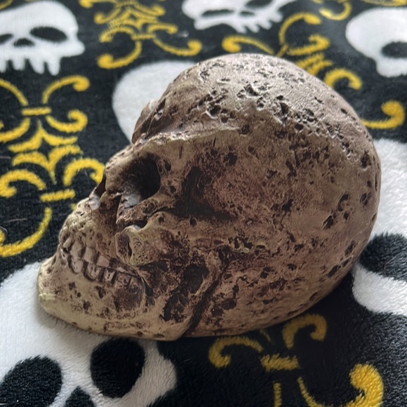 ๐ FISH ๐ฆ LIZARD AQUARIUM/TANK ๐ WAITED SKULL โ ๏ธ - Picture 3 of 7